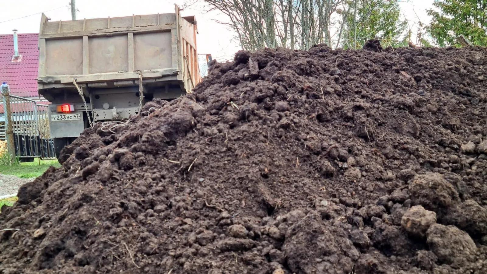 Грунт плодородный несеяный