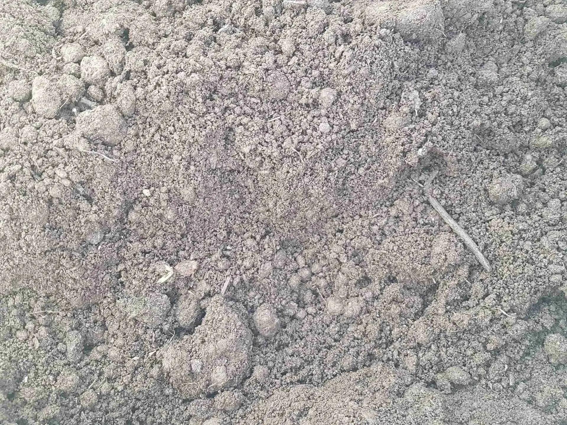 Грунт растительный с доставкой по Санкт-Петербургу и Ленинградской области