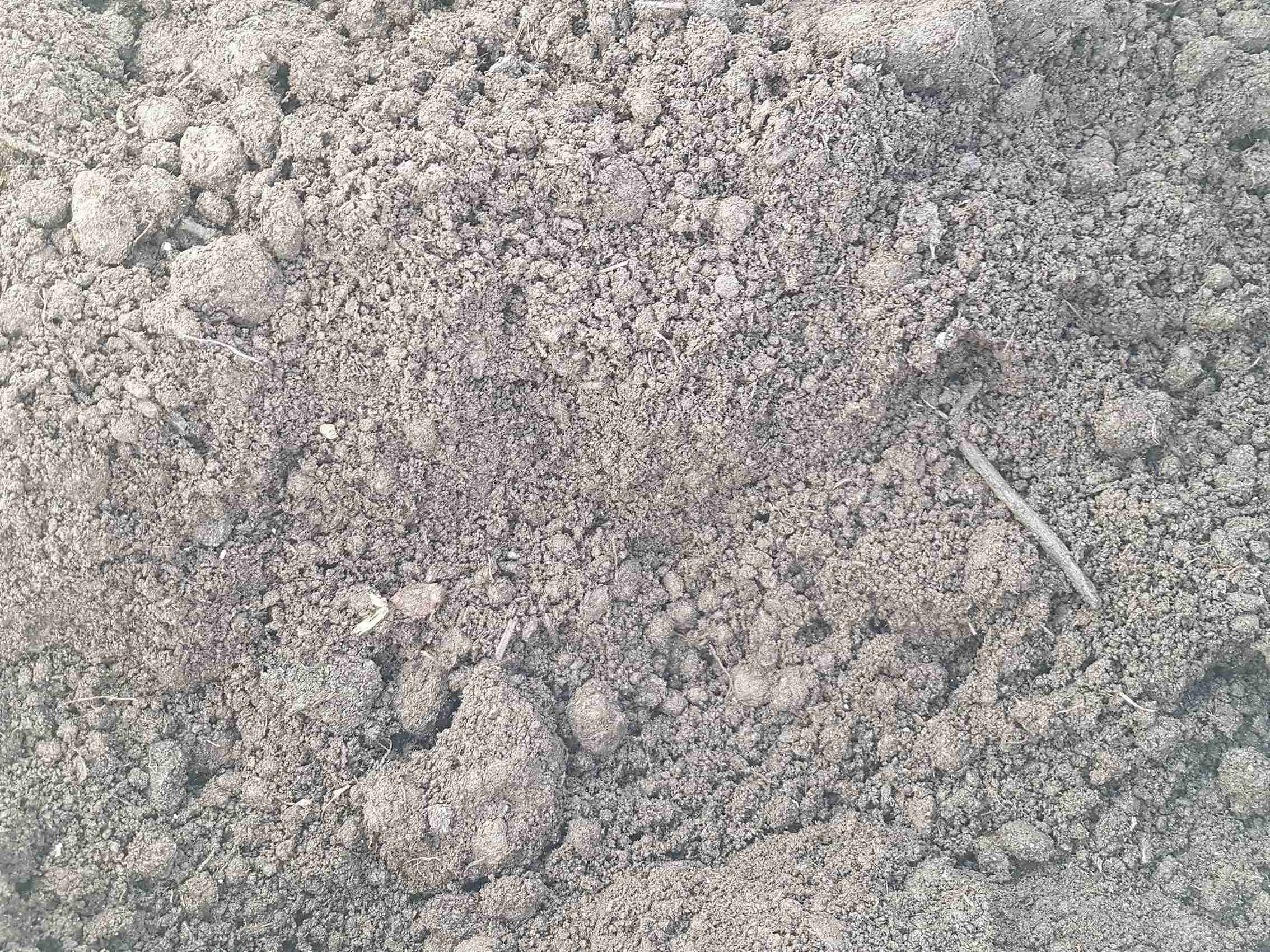 Грунт растительный